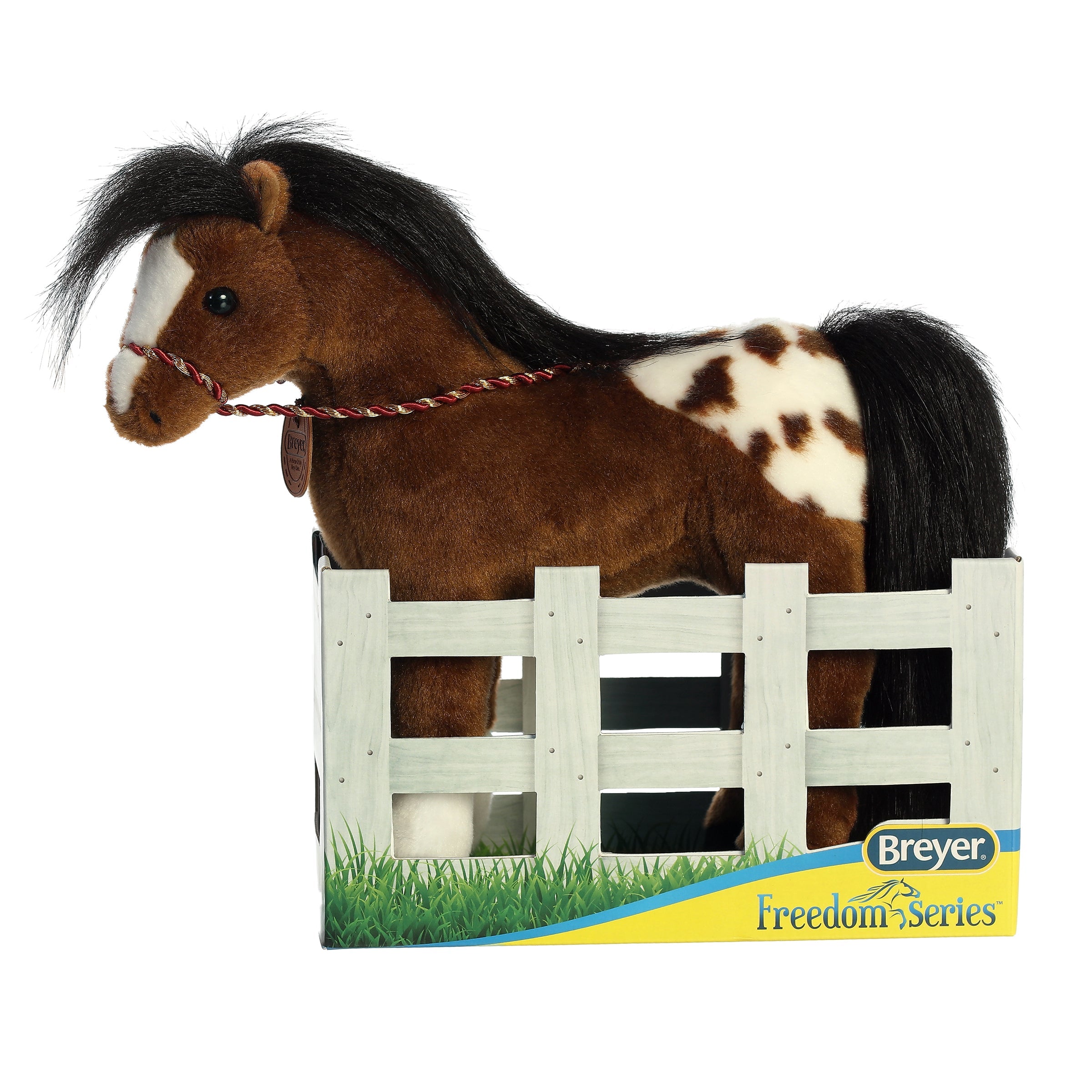 Appaloosa Horse