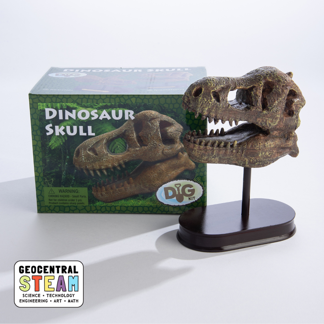 Dig Kit - Dinosaur Skull