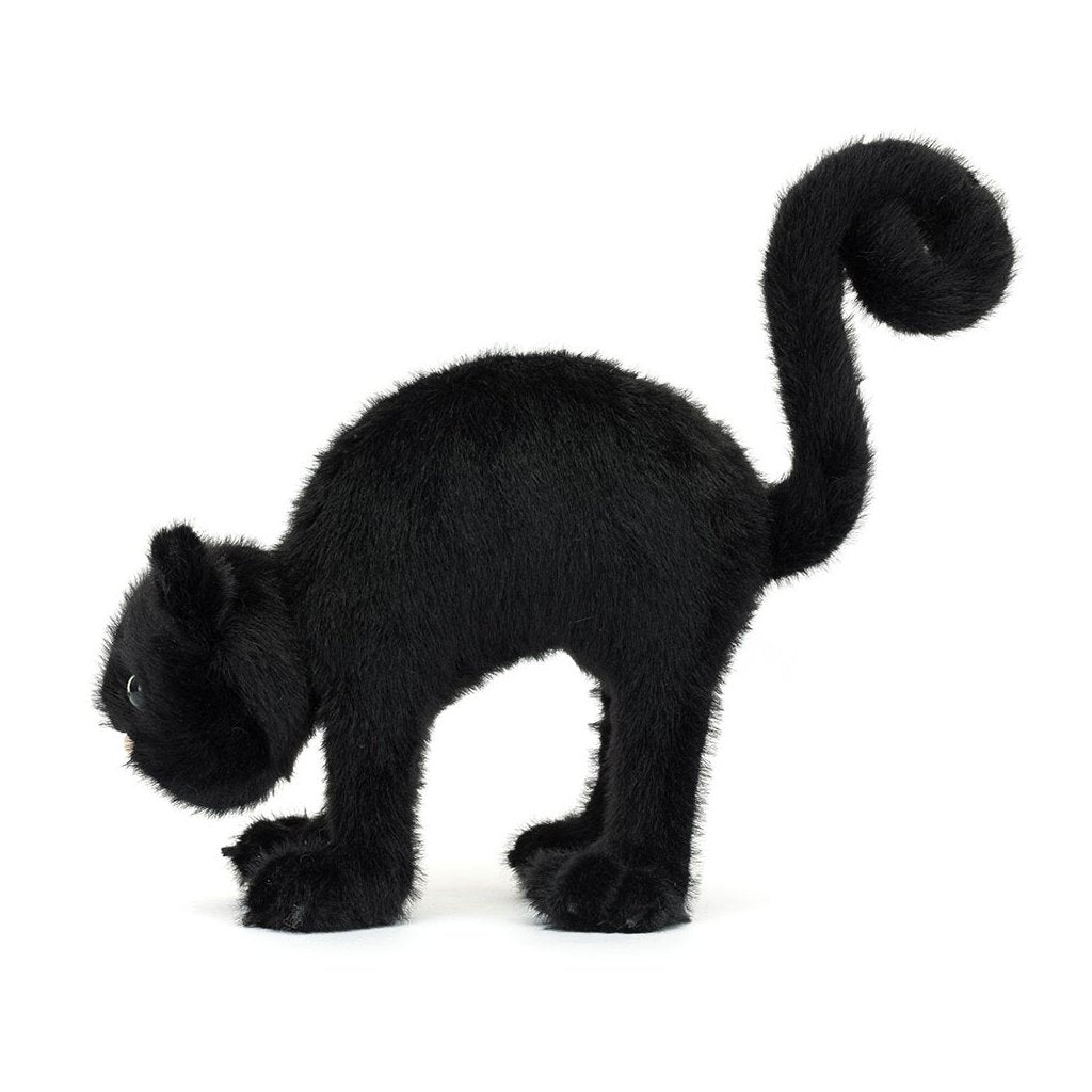 Spookipaws Cat