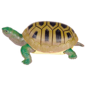 Turtle Squishimals
