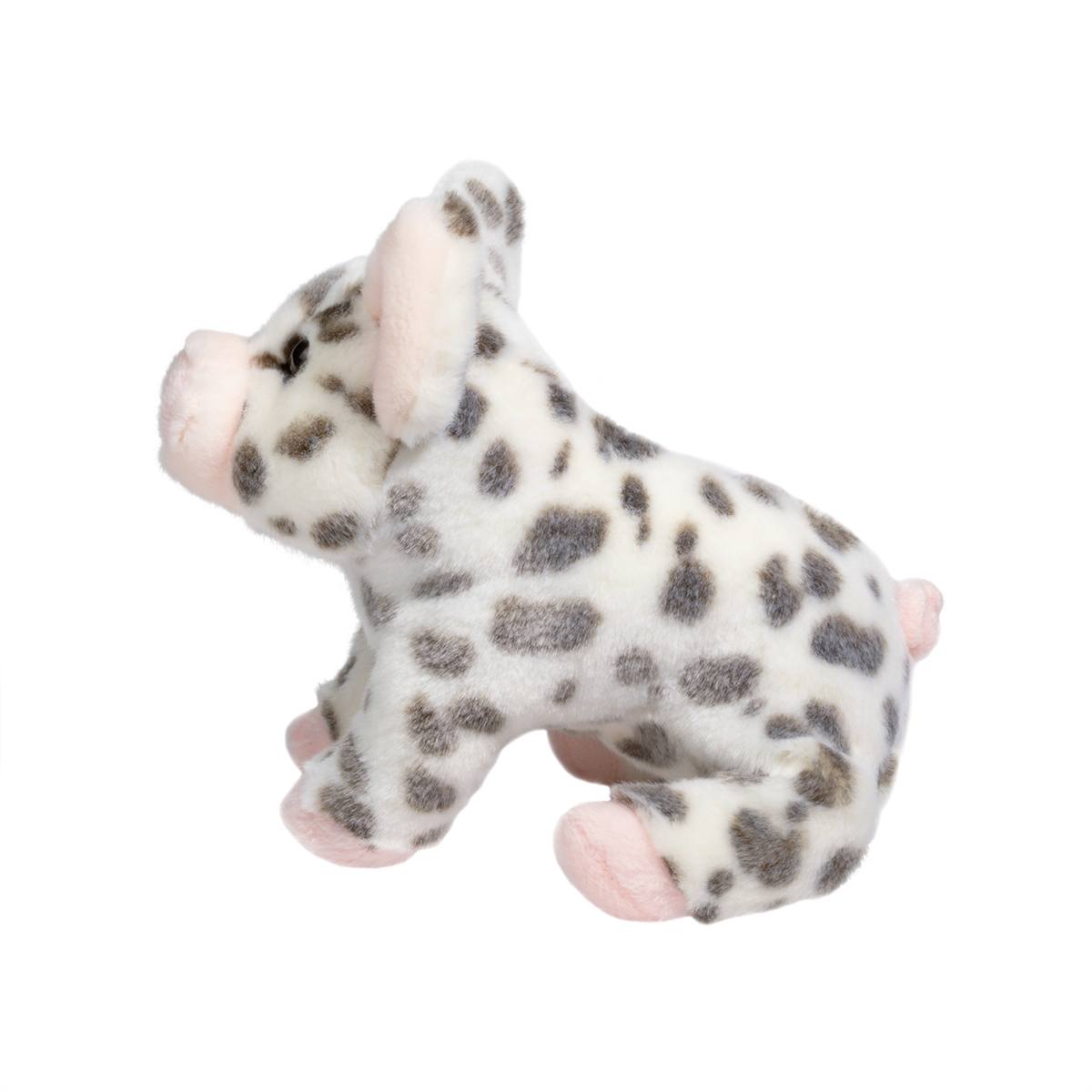 Pauline Spotted Pig