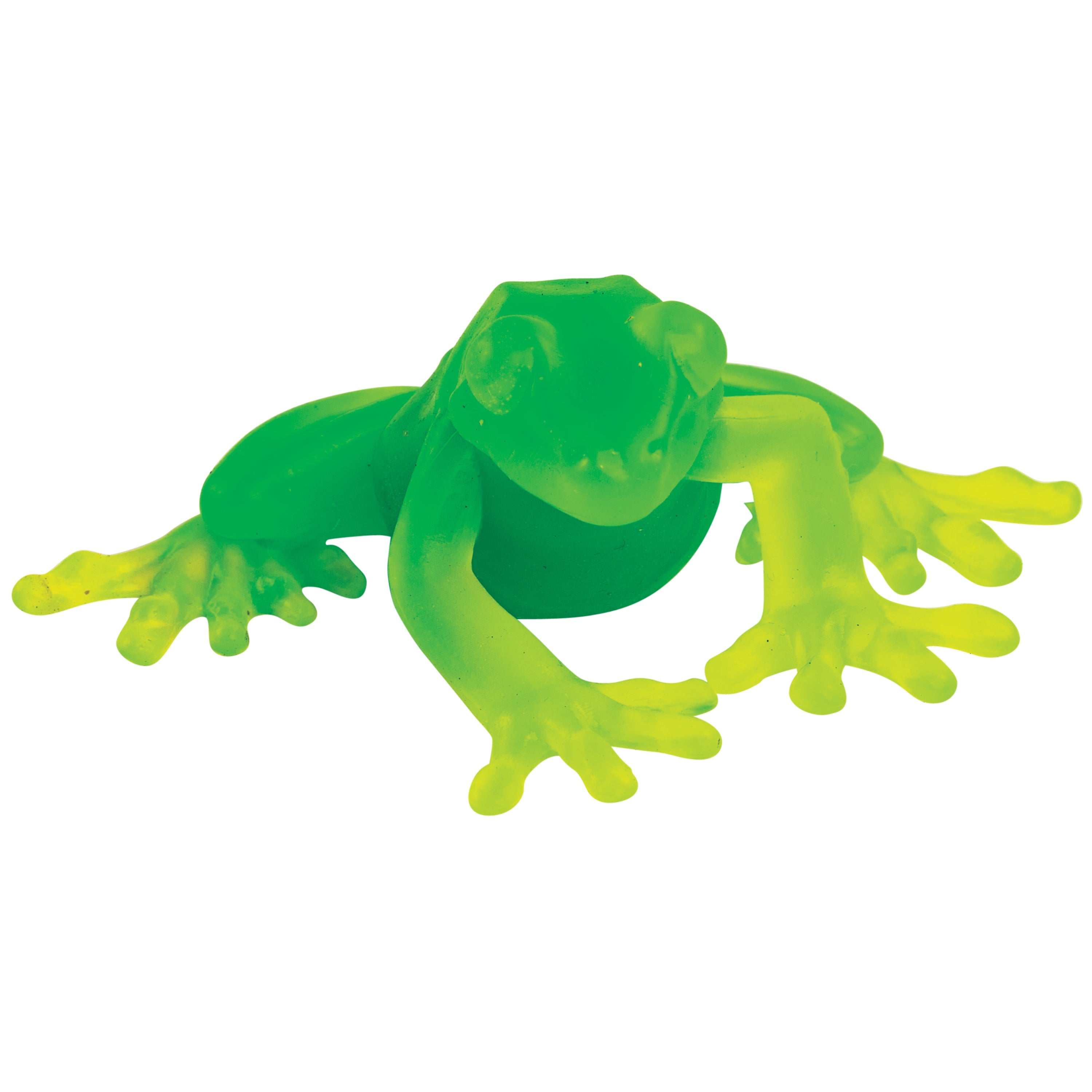 ColorMorph Froggy