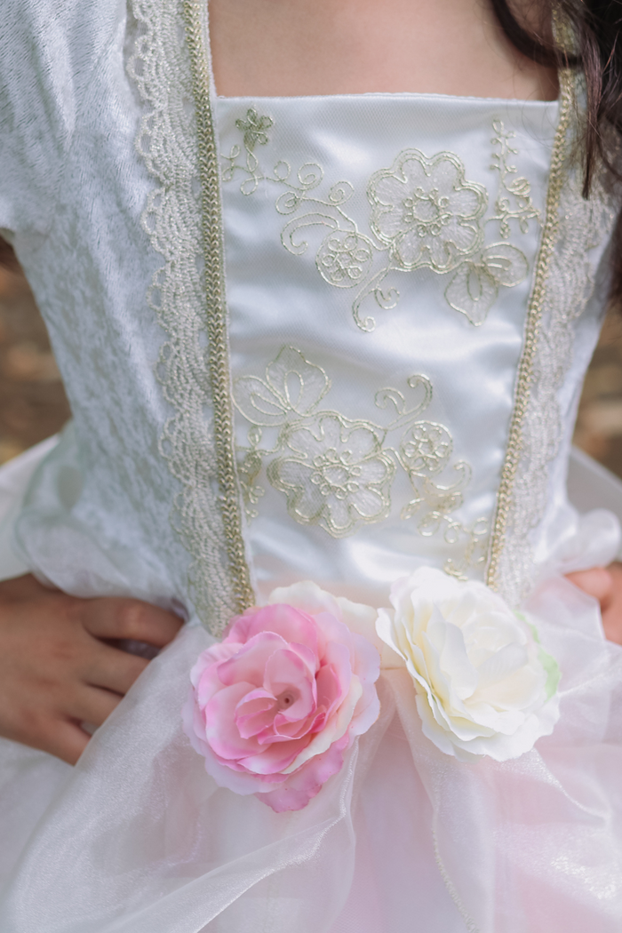 Golden Rose Princess Dress 7/8