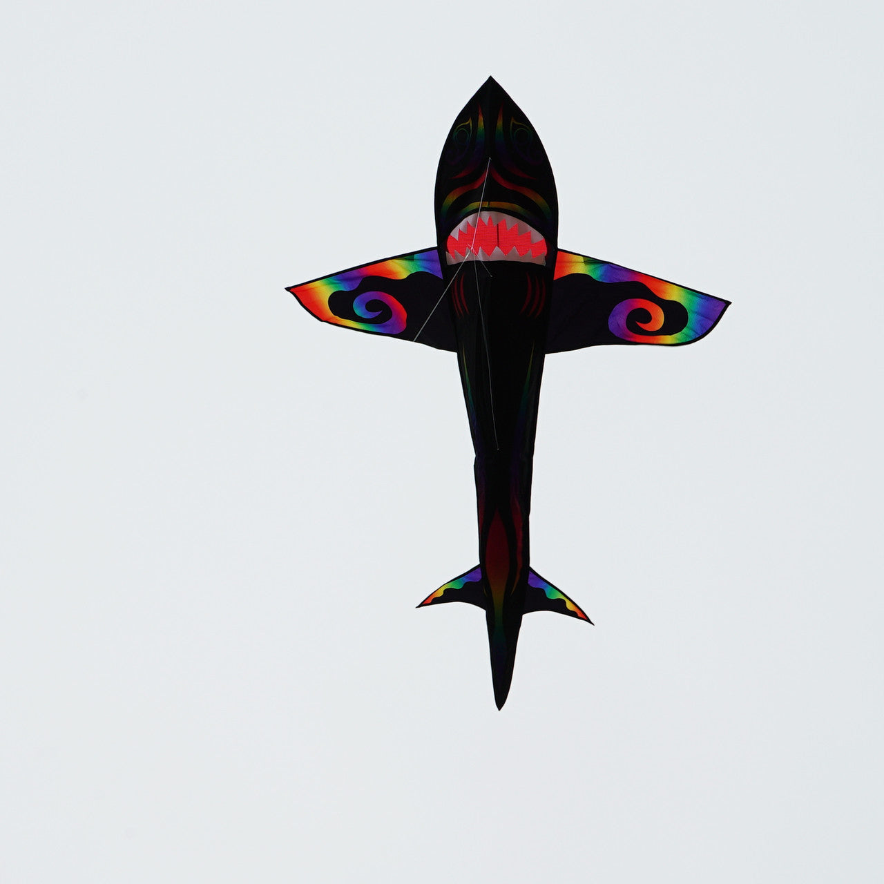 Aurora 7.5' 3D Shark Kite