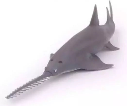 Sawfish