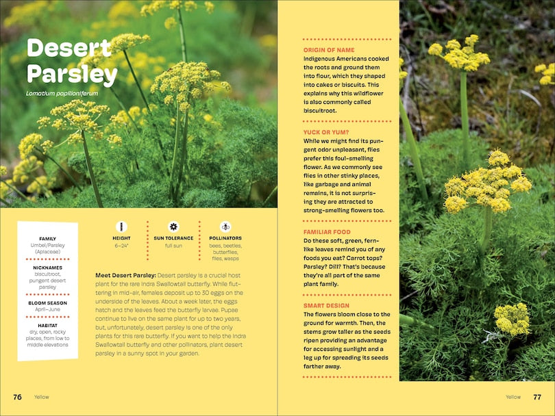 Wildflowers of the Pacific Northwest For Kids