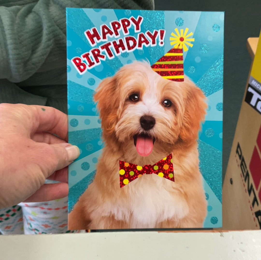 Dog with Party Hat Card