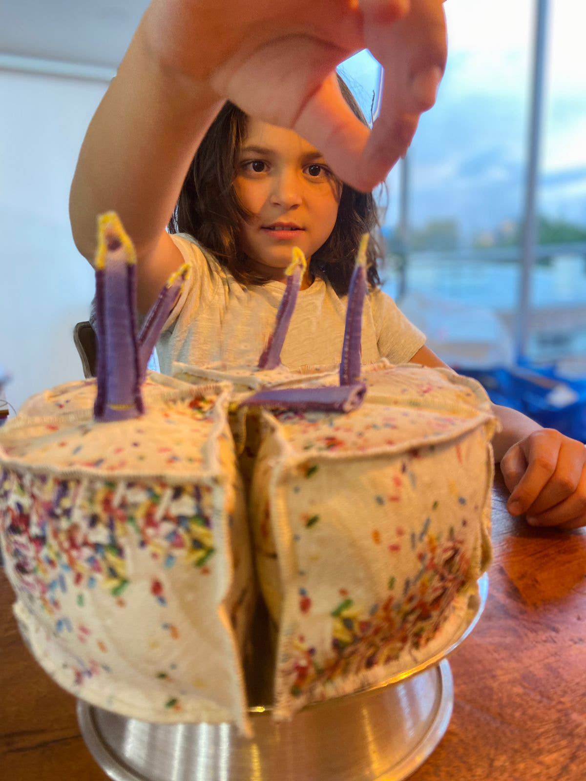 10th Anniversary Birthday Cake Play Food