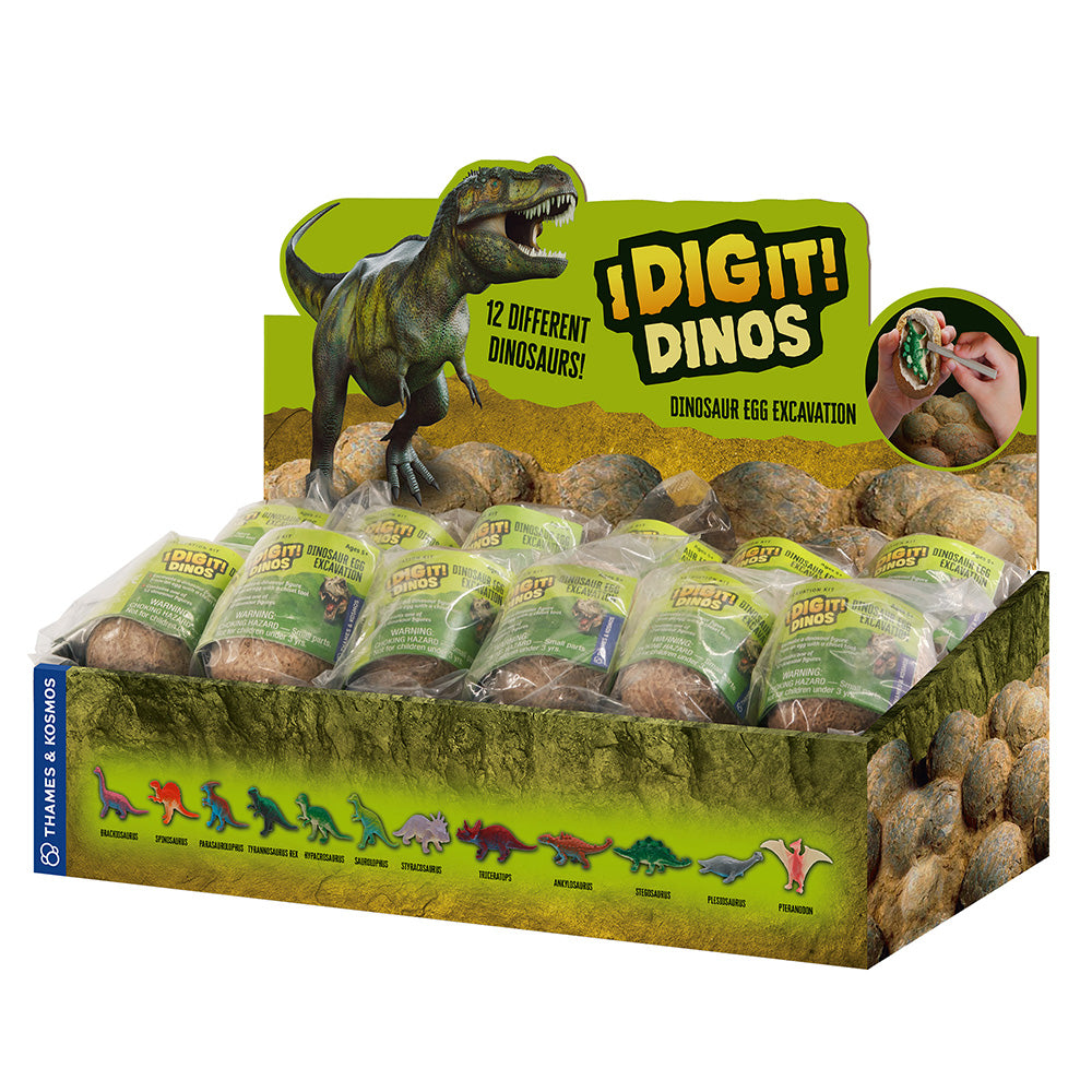 I Dig It! Dino Egg