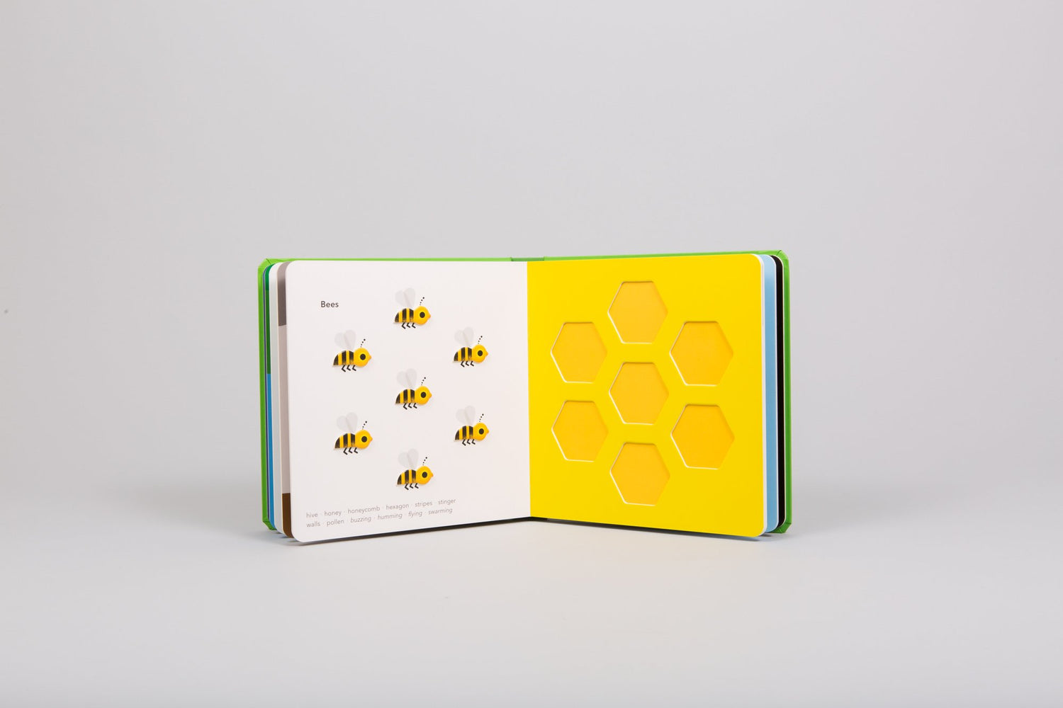 TouchThinkLearn: Little Critters