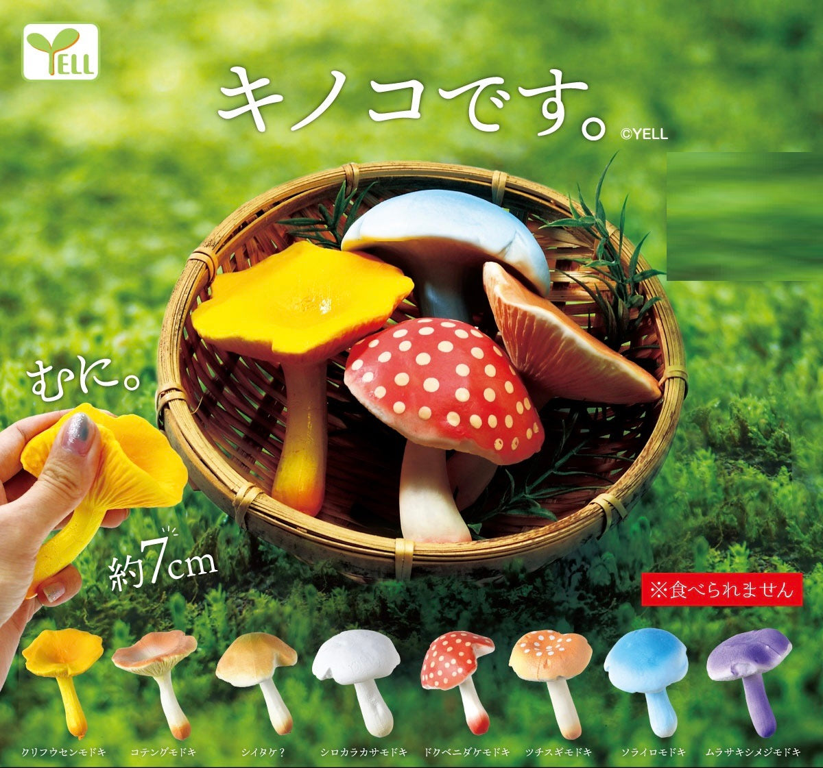 Mushroom Capsule