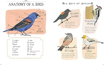 Nature Anatomy: The Curious Parts and Pieces of the Natural World