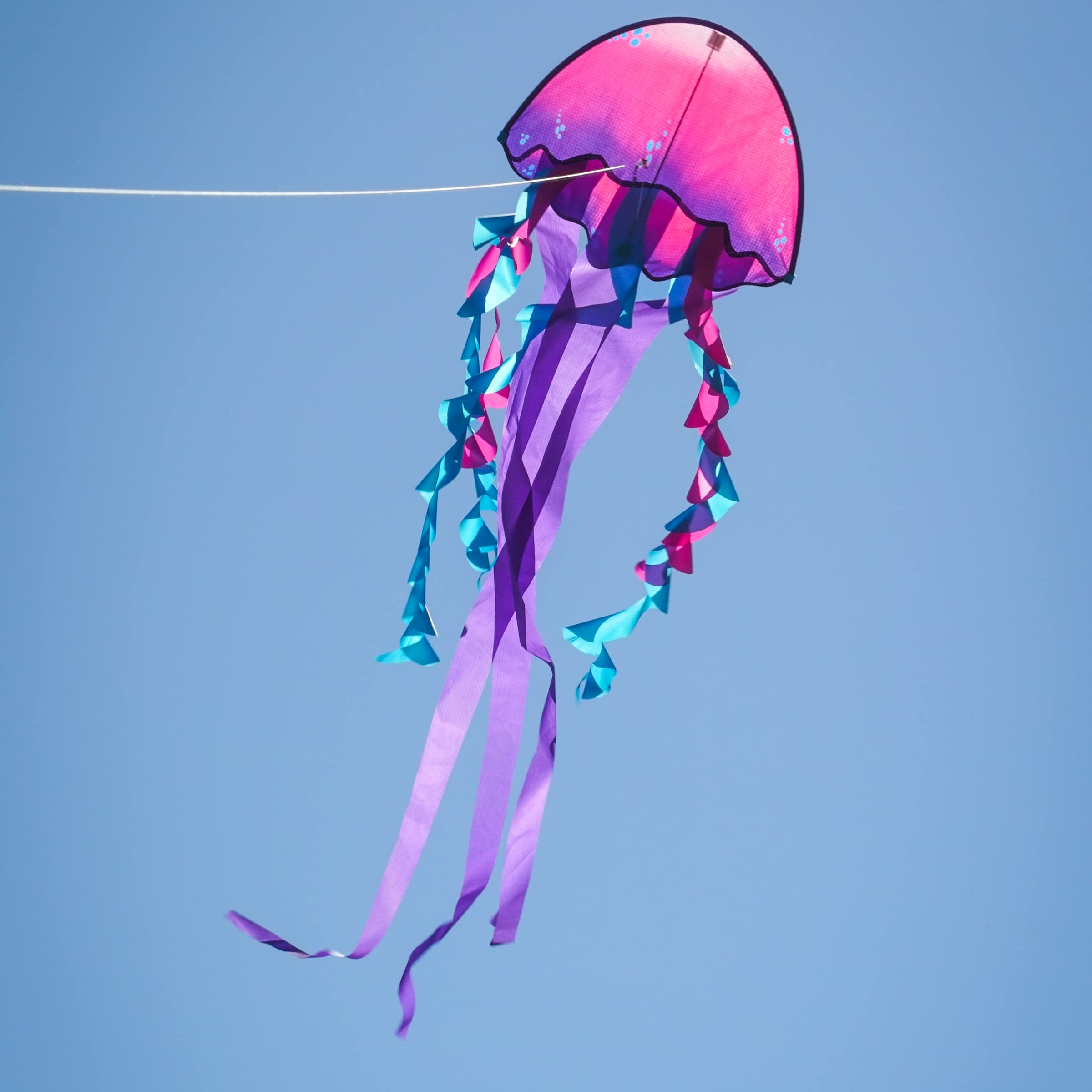 Dancing Dragon Jellyfish Kite