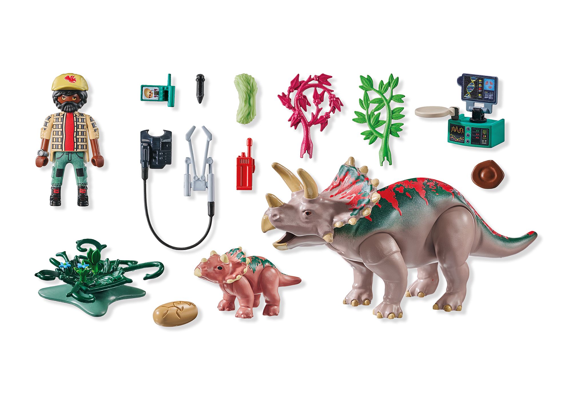 Triceratops Family