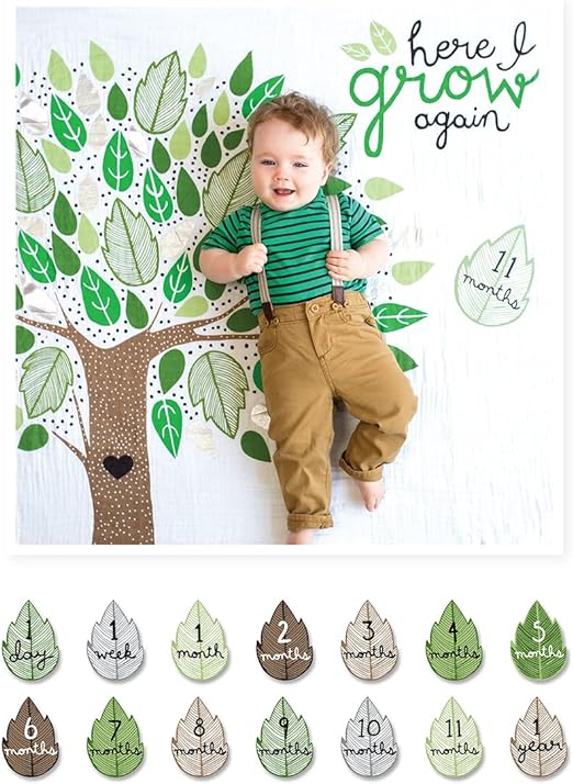 Baby's First Year - Blanket & Cards Set