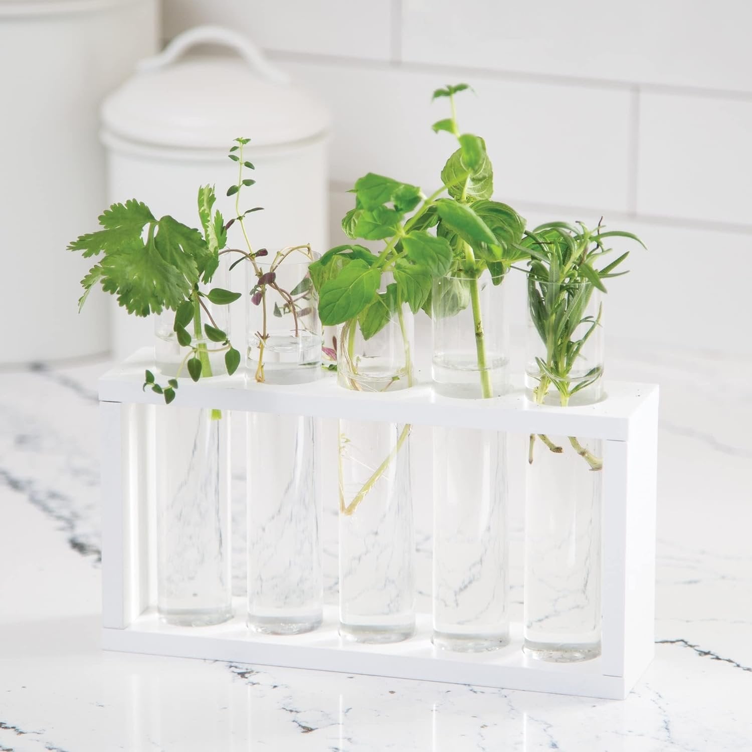 Home Grown Growing Kit