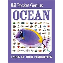Pocket Genius - Ocean
