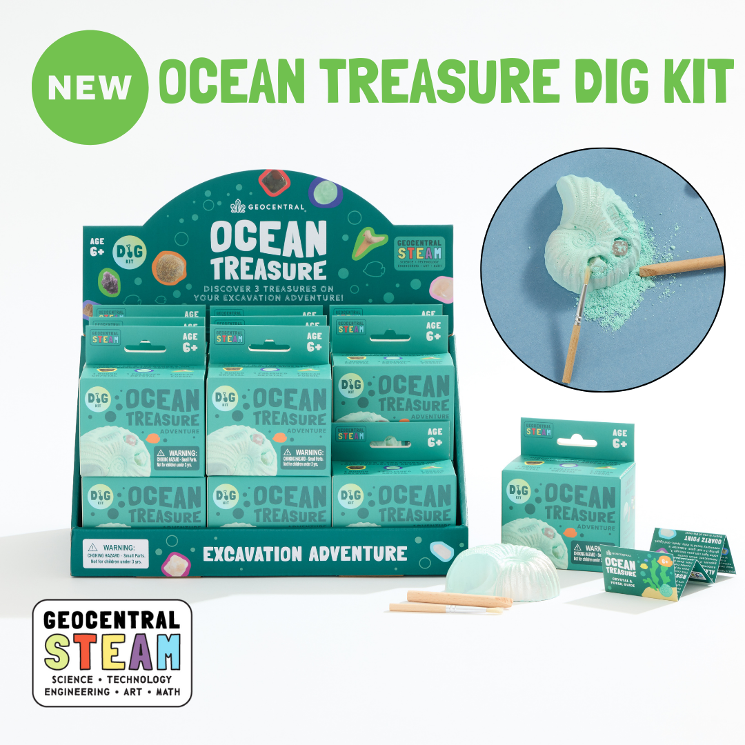 Dig Kit - Ocean Treasure