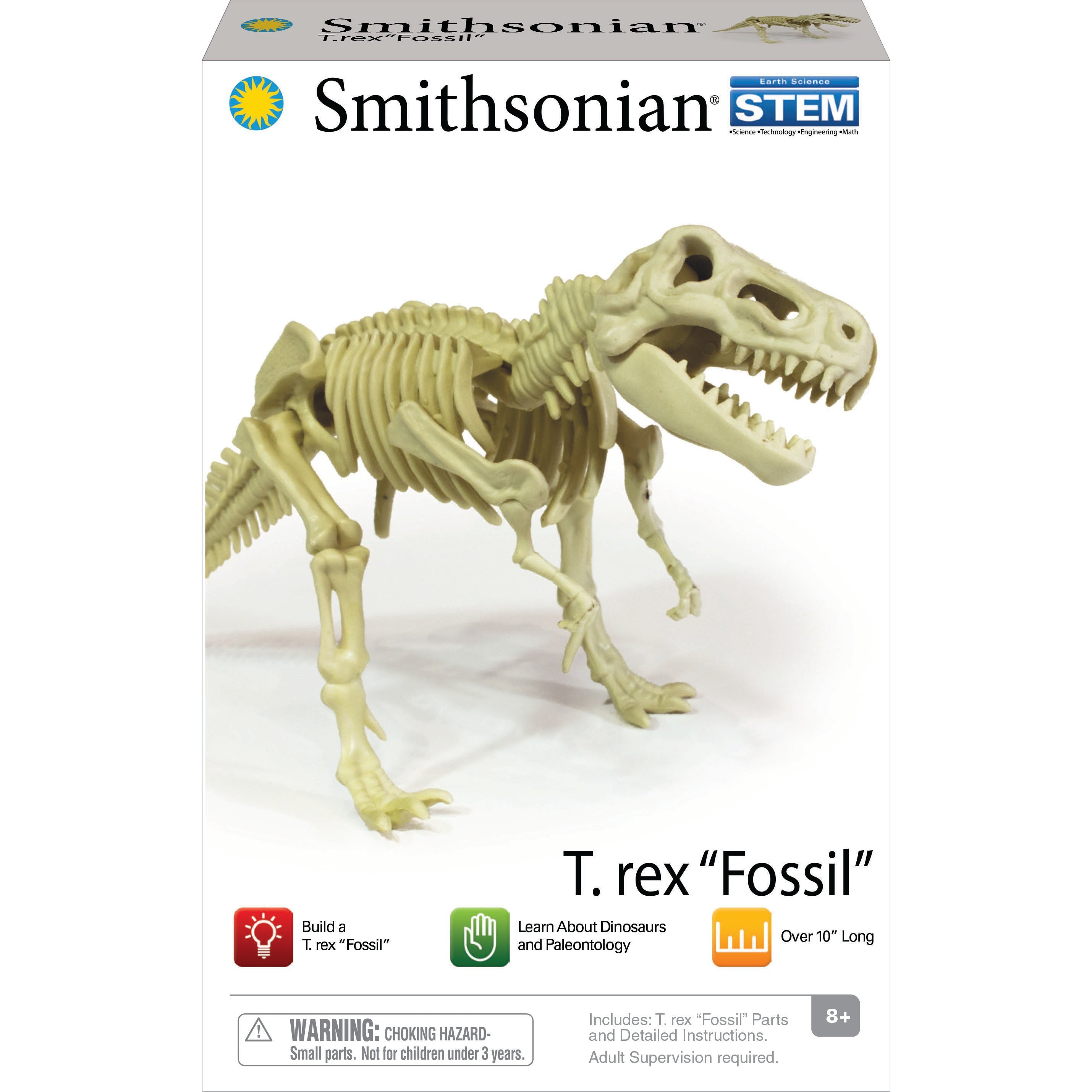 Smithsonian T.Rex Fossil
