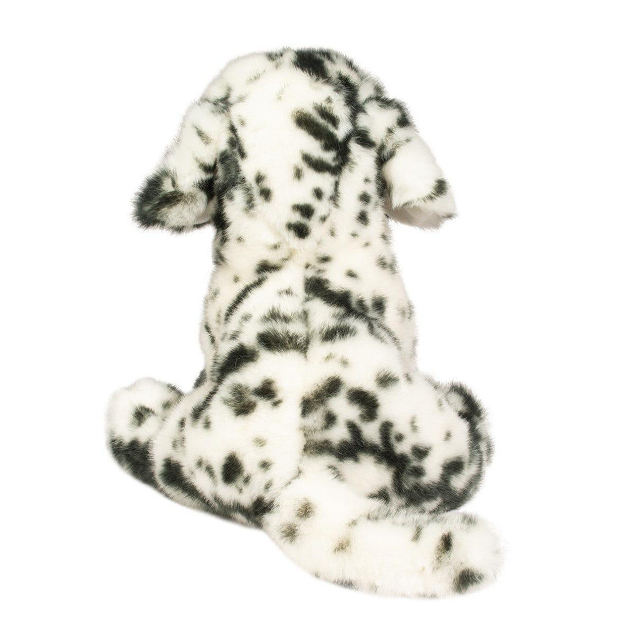 Mackay Floppy Dalmatian