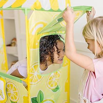 Lemonade Stand Tent