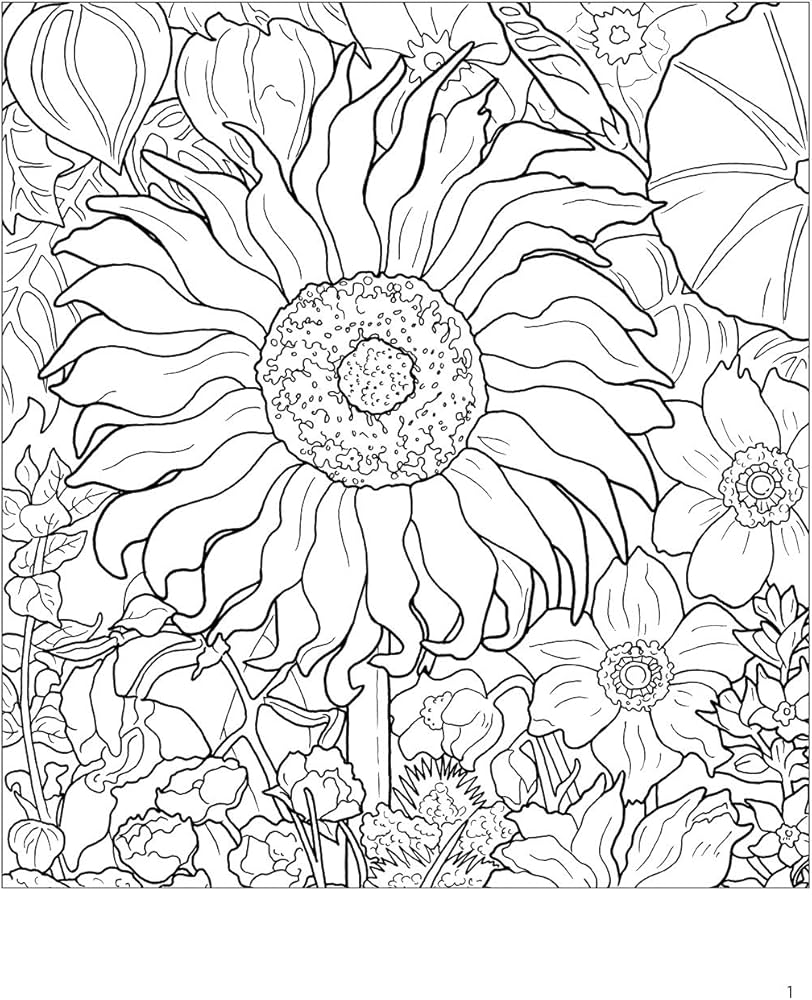 Rosalind Wise: Flower Cycle Coloring Book