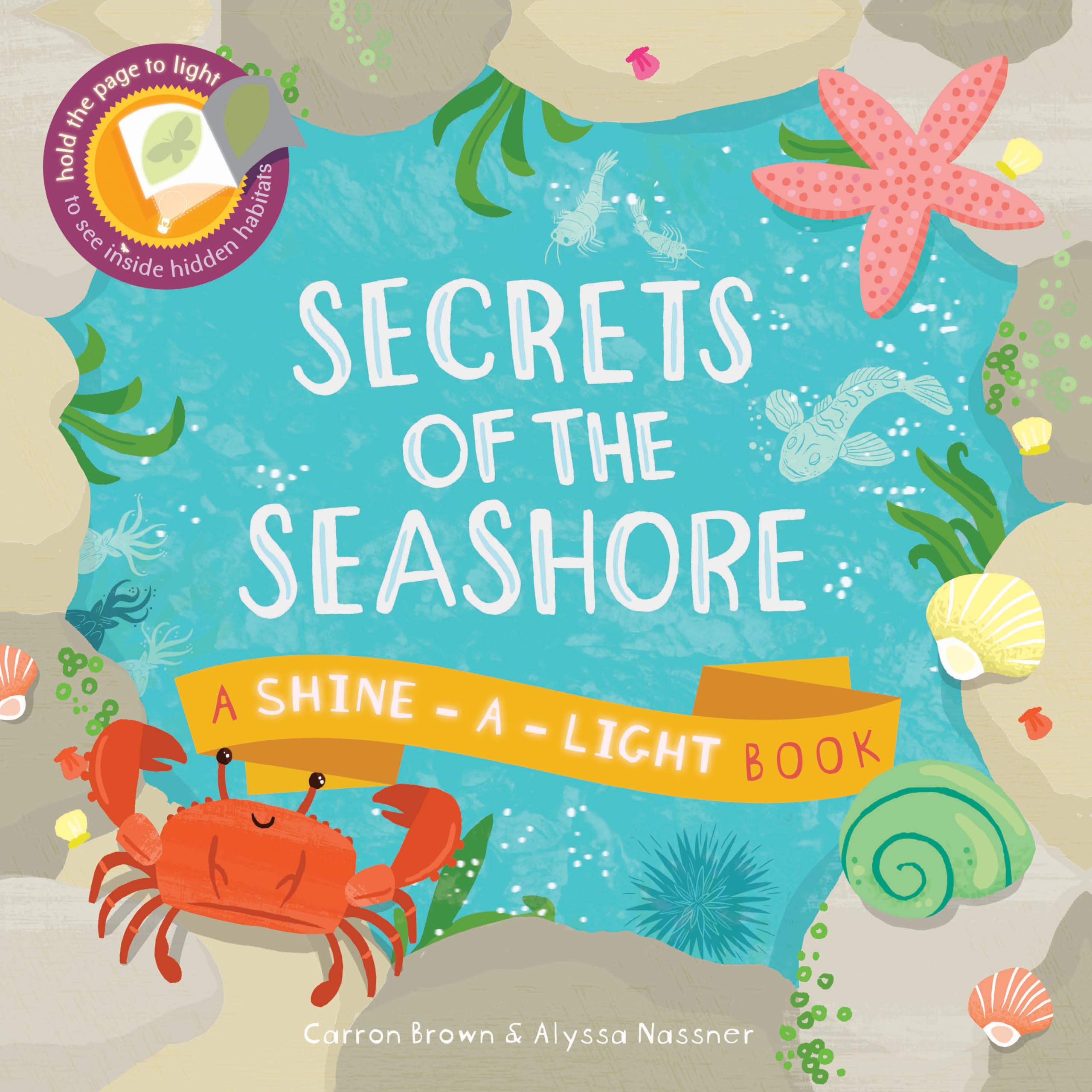 Secrets of the Seashore, A Shine A Light Book