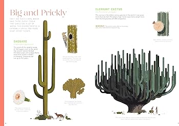 Incredible Stars of the Plant World