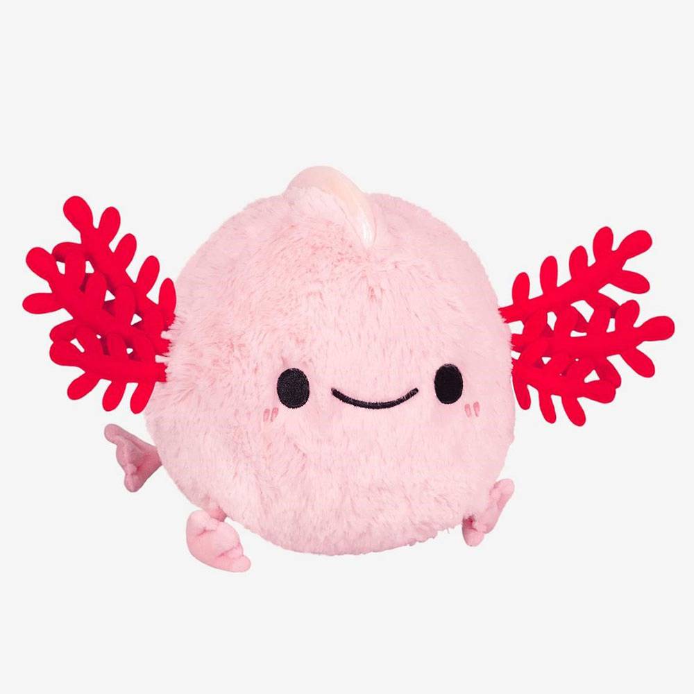 Baby Axolotl