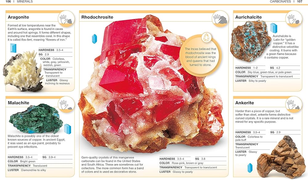 Pocket Genius - Rocks and Minerals
