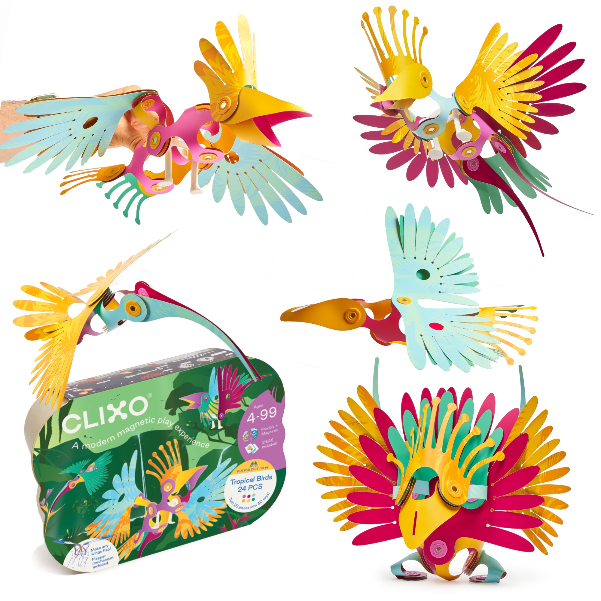 Clixo - Tropical Birds Pack