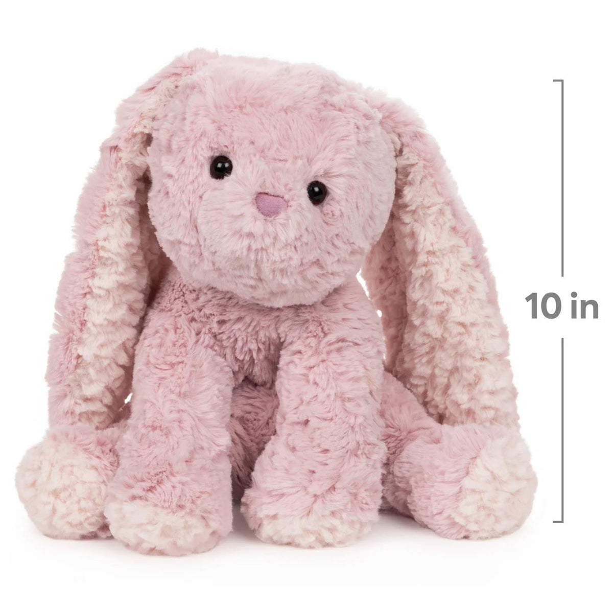 Cozys Bunny