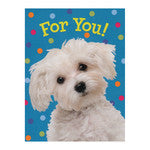 White Dog Enclosure Card