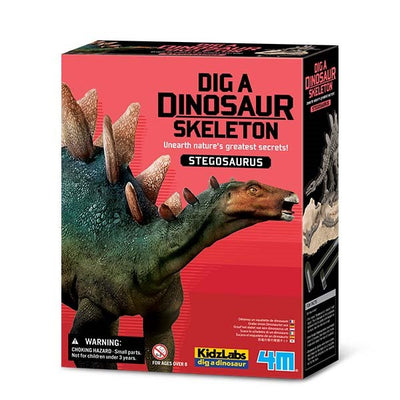 Dig a Dinosaur Skeleton Stegosaurus Kit