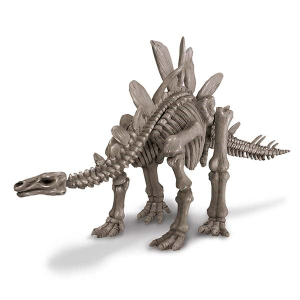Dig a Dinosaur Skeleton Stegosaurus Kit