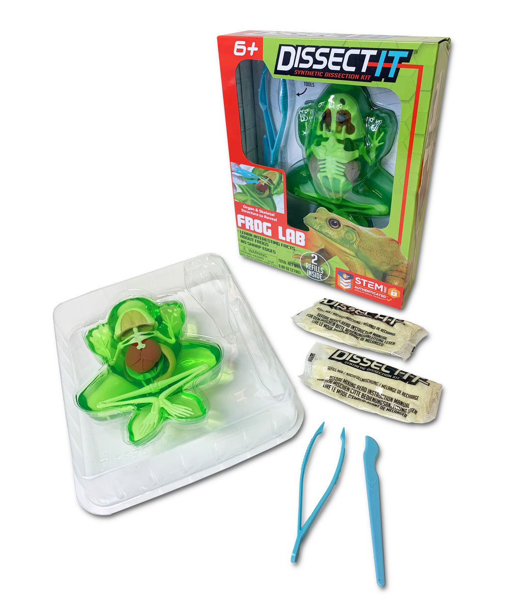 Dissect It - Frog Lab