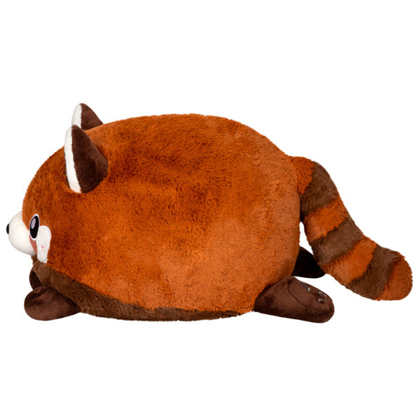 Baby Red Panda