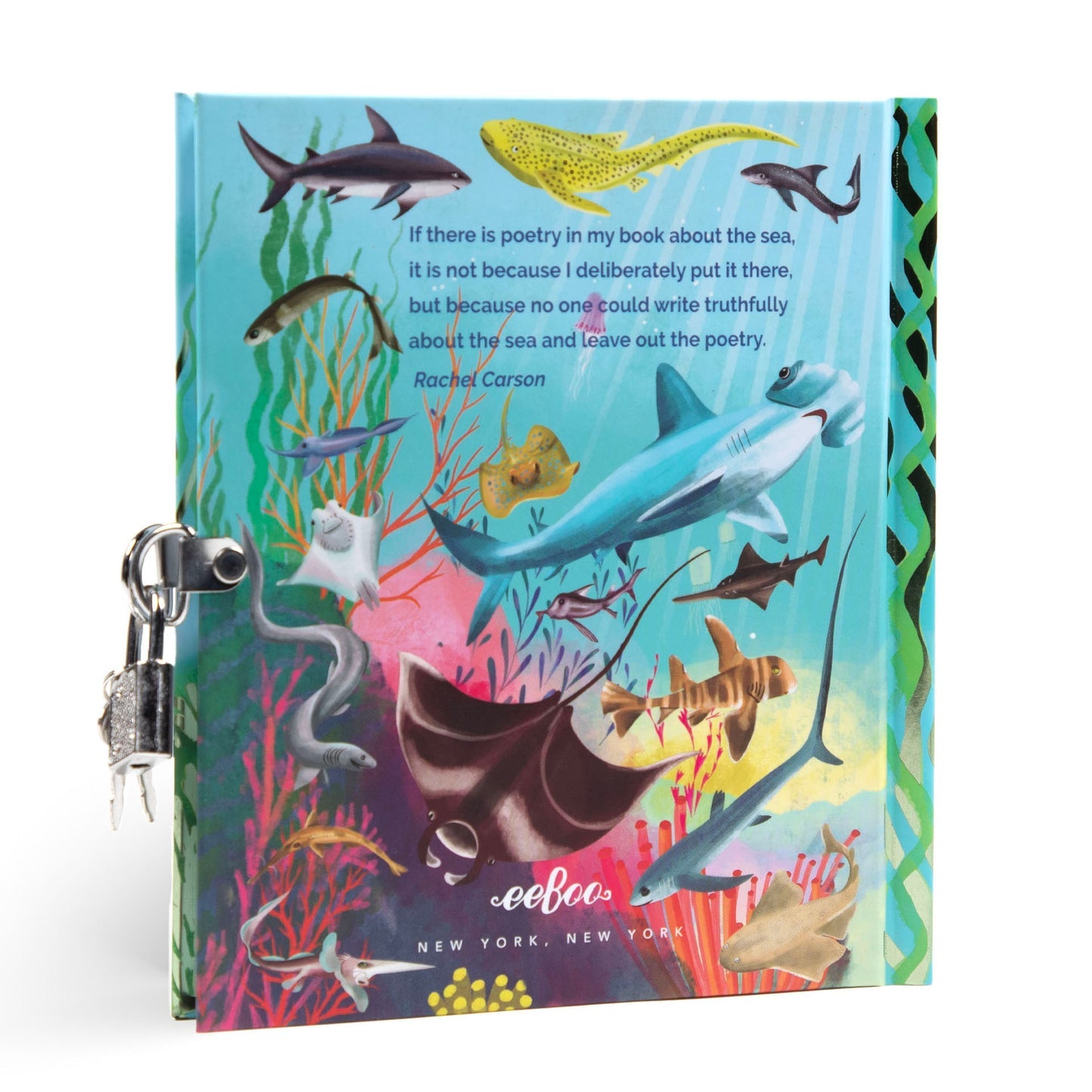 Sharks & Friends Journal