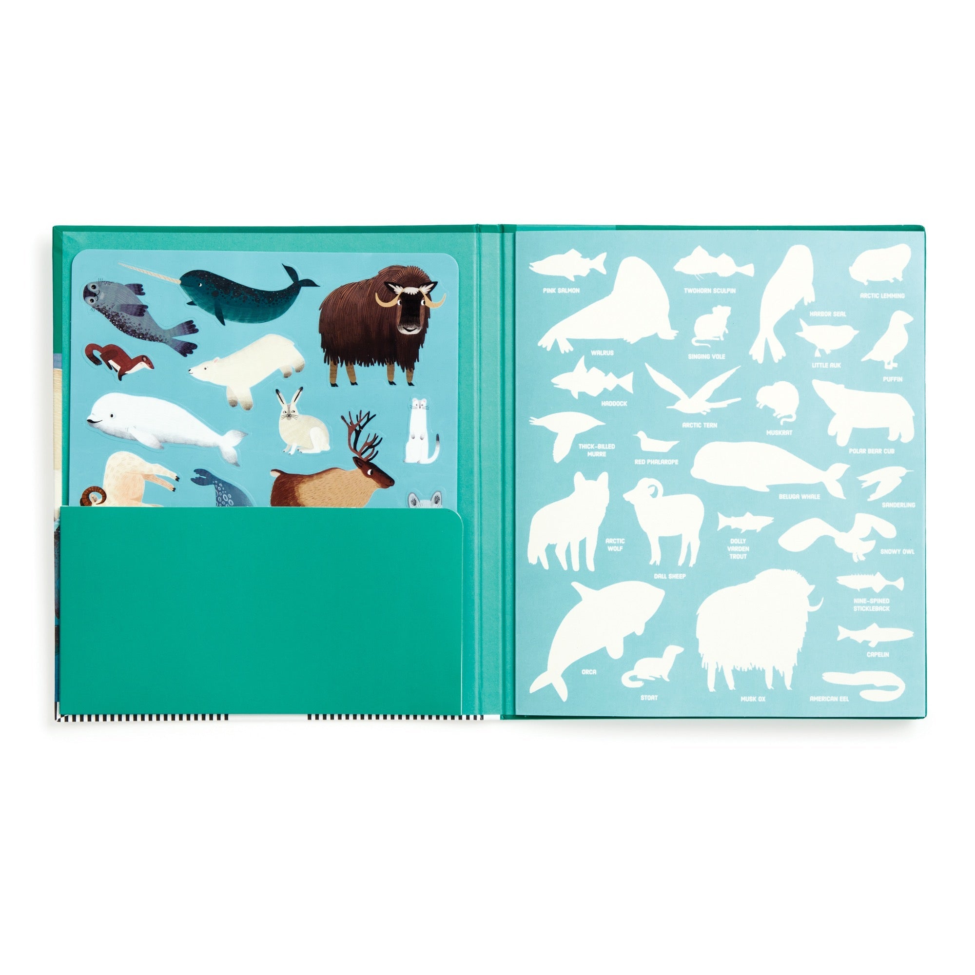 Sticker Reusable Arctic Life