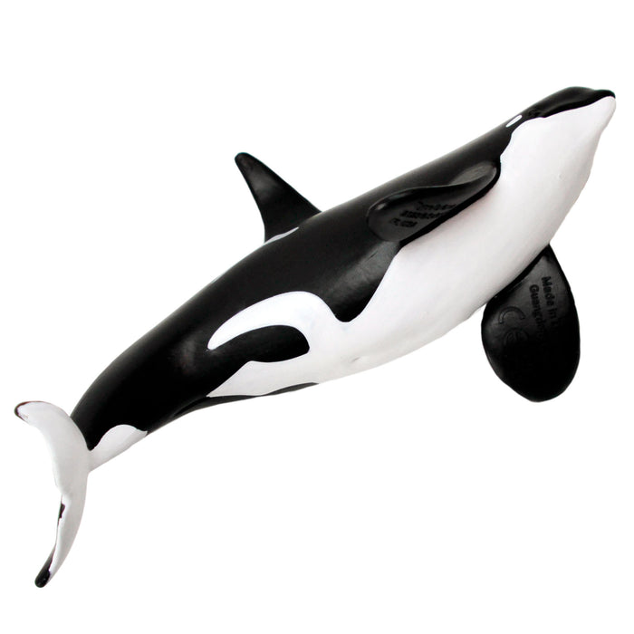 Type D Orca