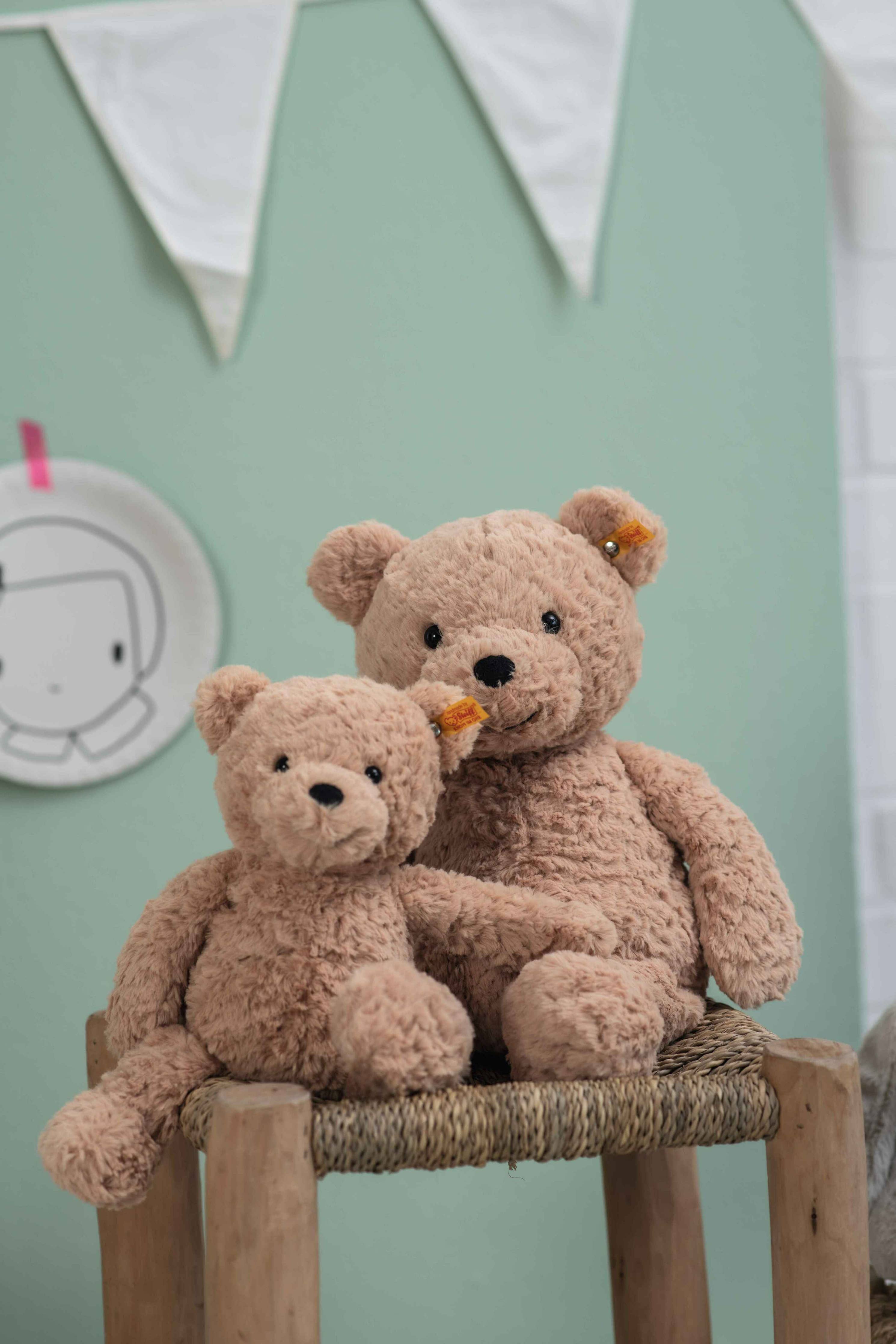 Jimmy Teddy Bear Plush, 12"