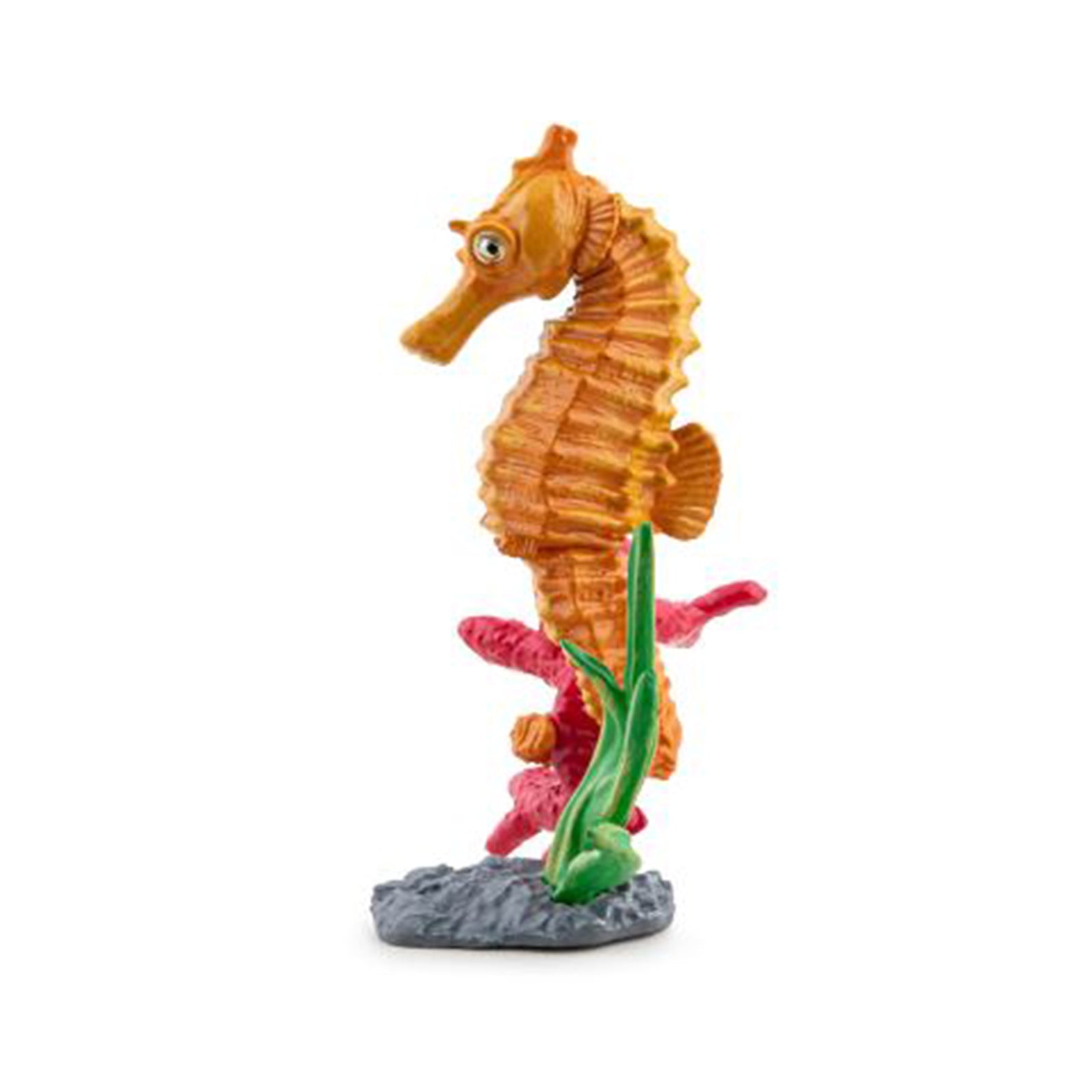 Seahorse