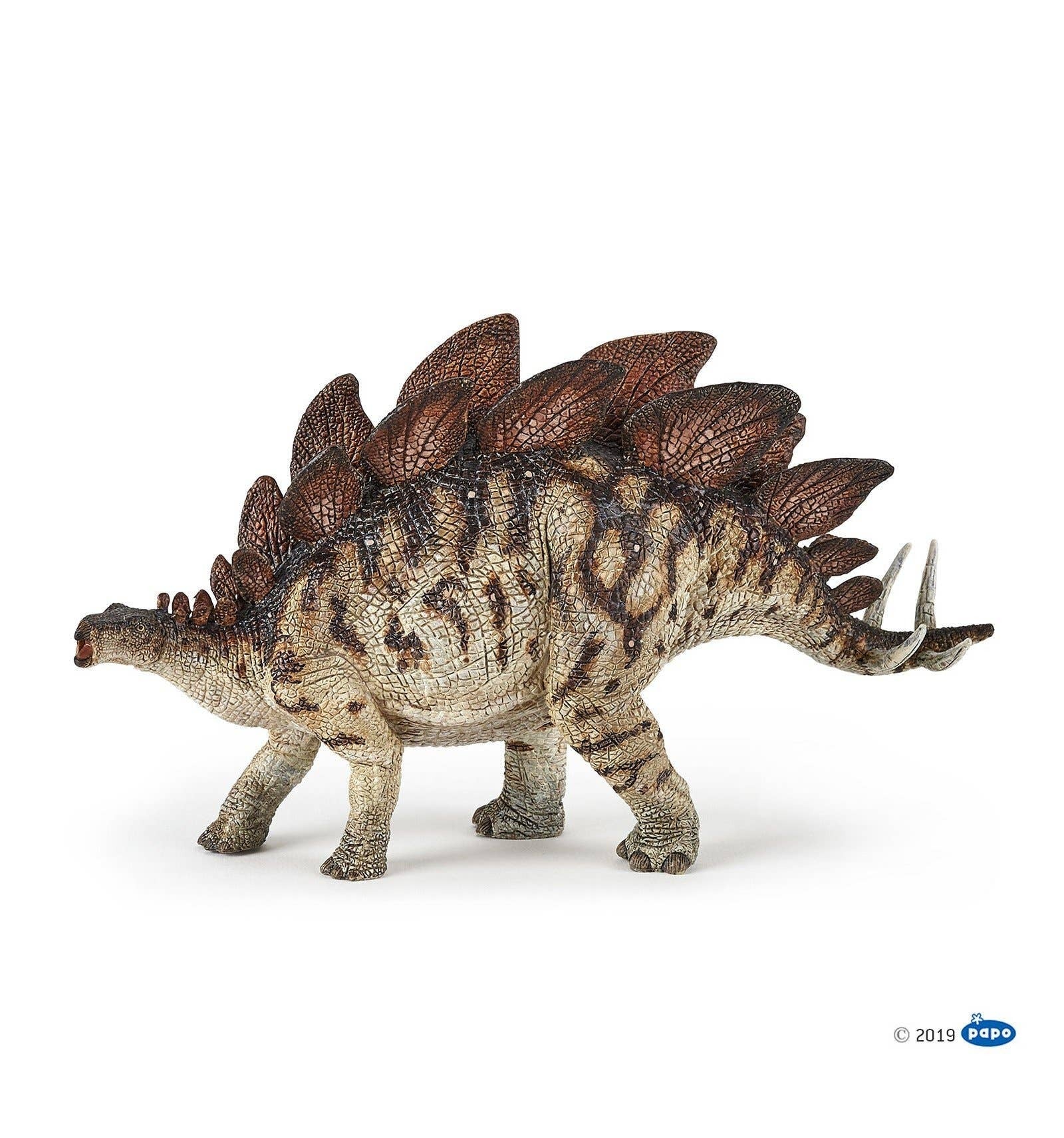 Stegosaurus