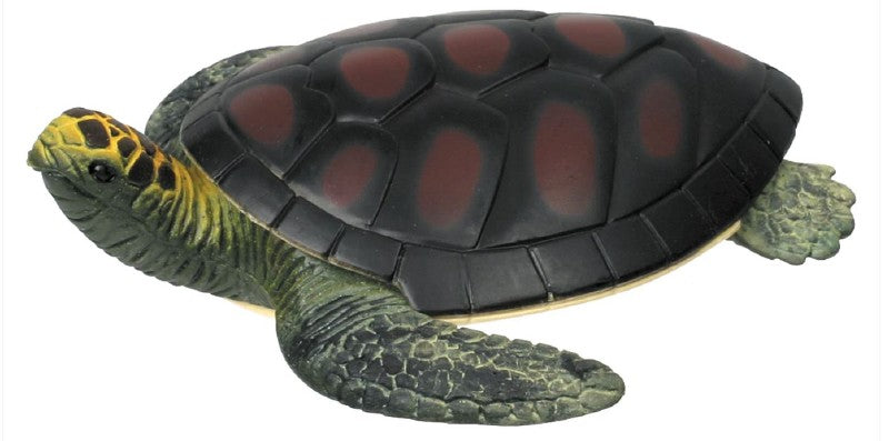 Turtle Squishimals