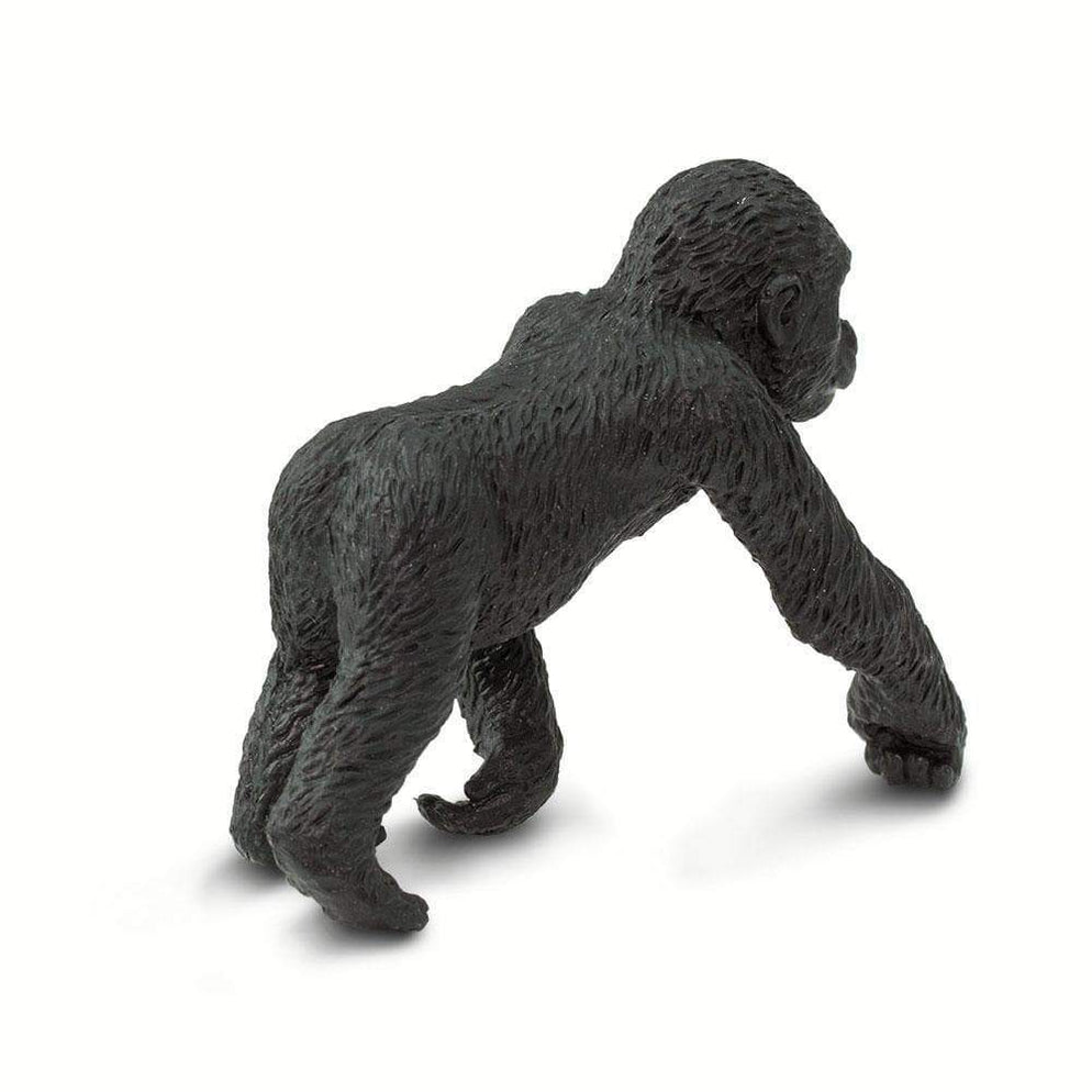 Lowland Gorilla Baby