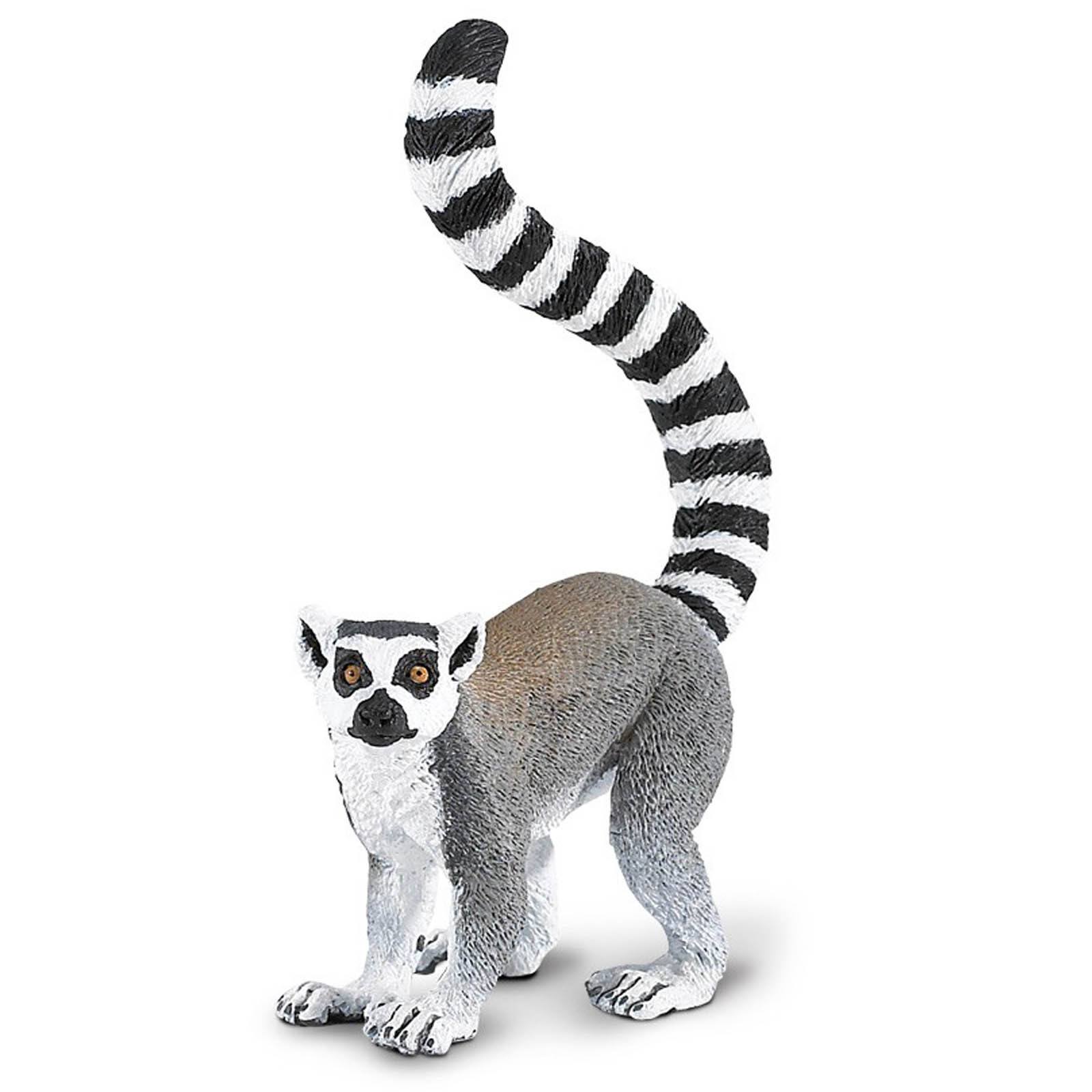 Ring-Tailed Lemur