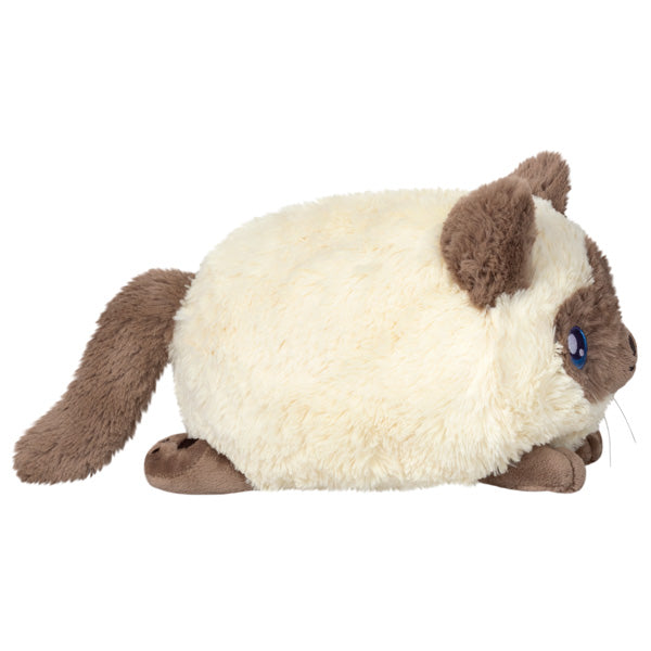 Mini Colorpoint Kitty Squishable