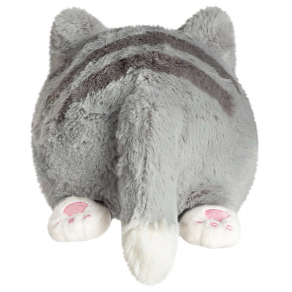 Mini Grey Kitty Squishable