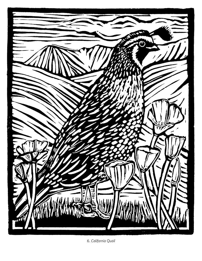 Molly Hashimoto: Birds Coloring Book