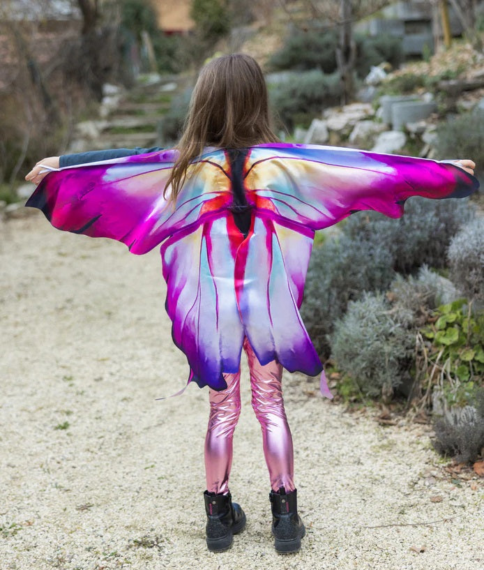 Ombre Butterfly Soft Wings